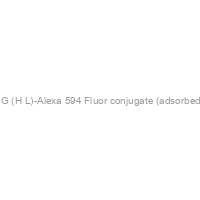 Rabbit Anti-Rat IgG (H+L)-Alexa 594 Fluor conjugate (adsorbed with human IgG)